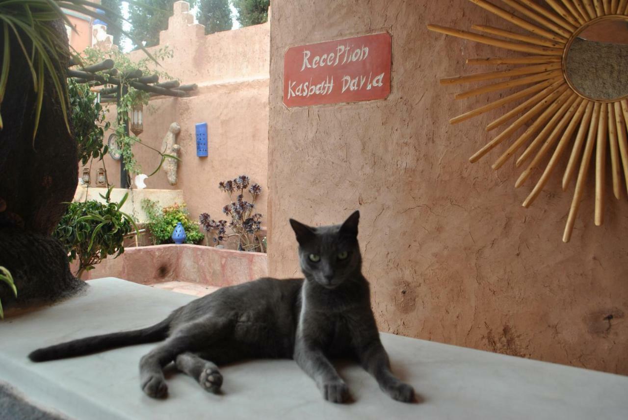 Auberge Kasbah Darla ทาฮันเนาท์ ภายนอก รูปภาพ